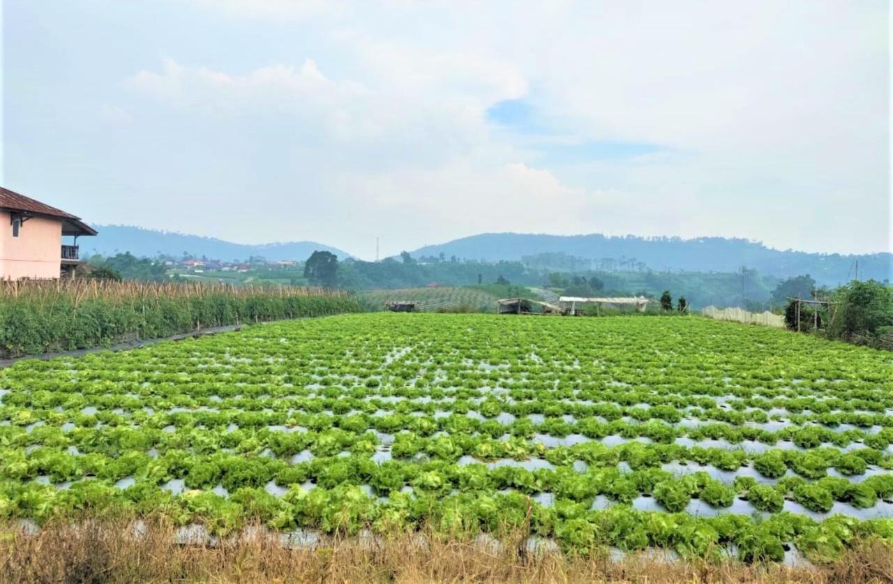 Villa Lembang Bunda Cikareumbi Exteriér fotografie